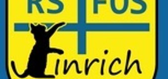 Zu sehen ist das Wappen der Realschule plus und FOS im Einrich