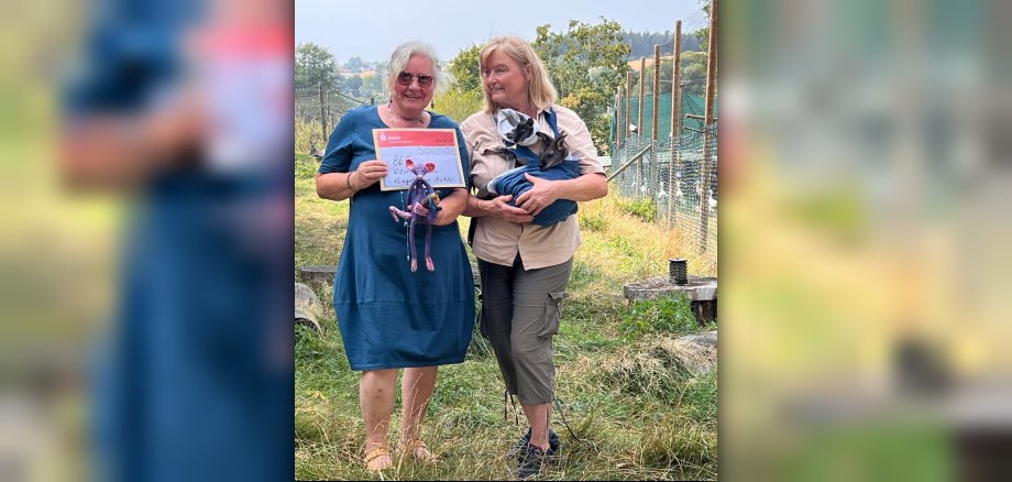 In den Beuteln sind zwei der drei Kängurubabys zu sehen, die die Kruses dieses Jahr aufgezogen haben. Cody (11 Monate) und die kleine Maggie (6 Monate), benannt nach Maggie Simpson, weil beide ihren Schnuller so sehr lieben. In den Beuteln sind zwei der drei Kängurubabys zu sehen, die die Kruses dieses Jahr aufgezogen haben. Cody (11 Monate) und die kleine Maggie (6 Monate), benannt nach Maggie Simpson, weil beide ihren Schnuller so sehr lieben.