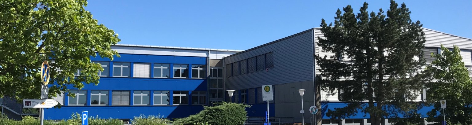 Zu sehen ist die Realschule plus im Einrich