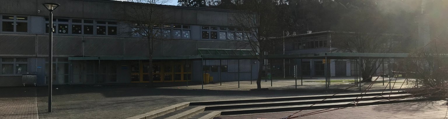 Zu sehen ist die Realschule plus im Aartal