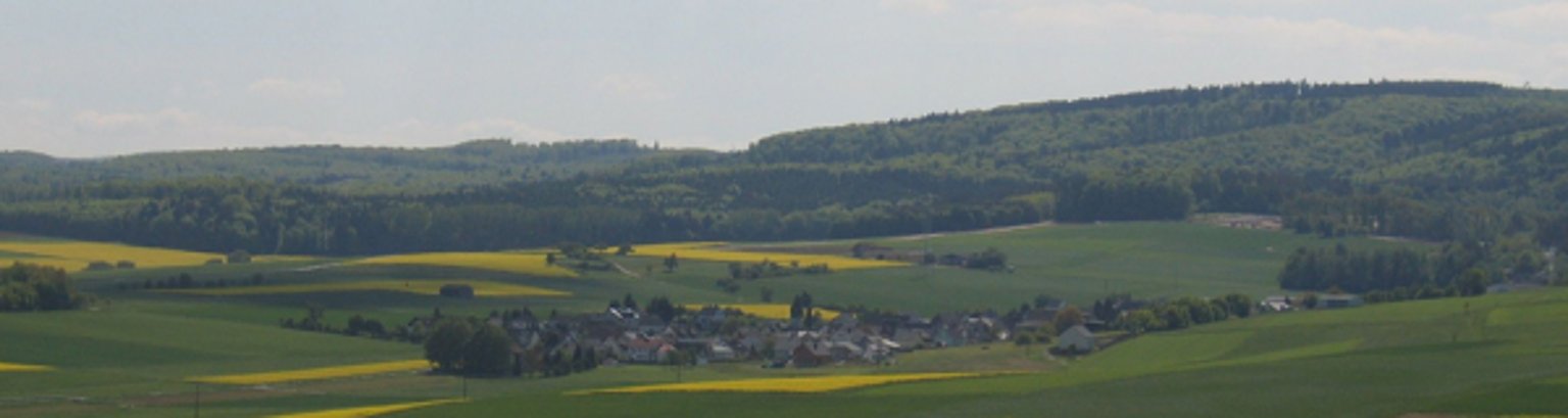 Zu sehen ist die Ortsgemeinde Lohrheim aus der Ferne