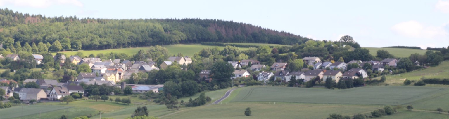 Bild der Ortsgemeinde Roth Zu sehen ist die Ortsgemeinde Roth aus weiter Entfernung