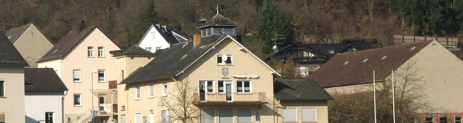 Zu sehen ist ein Bild der Ortsgemeinde Schiesheim 