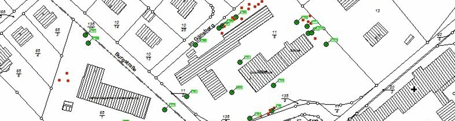 Hier sieht man einen Plan mit Darstellung des Baumkatasters.